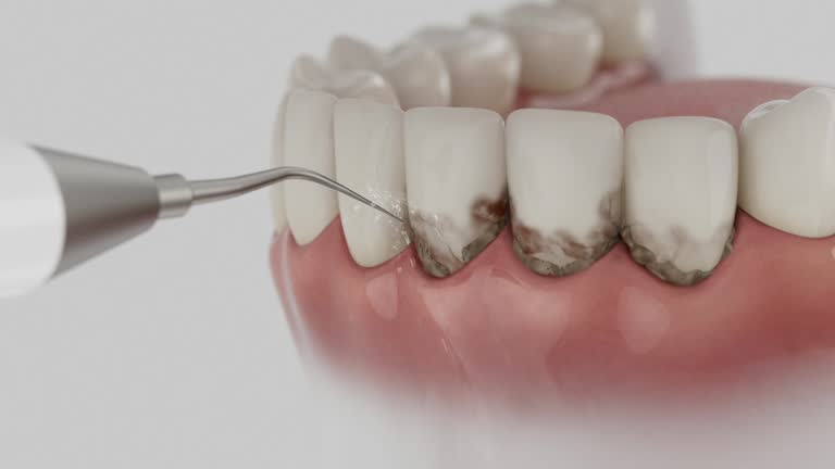 Reliable Dental contractor in Los Alamos, CA by Dentist Open Now